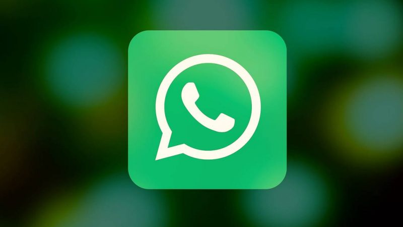 WhatsApp Web and WhatsApp Desktop: Differences and What’s Best to Use |  Techno Doctor |  Magazine