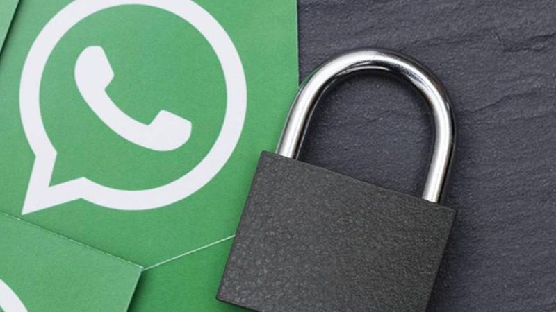 WhatsApp: Can Google spy on my conversations?  |  Applications |  Cell Phones |  Training |  Technology |  Viral |  Nnda |  nnni |  Game-game