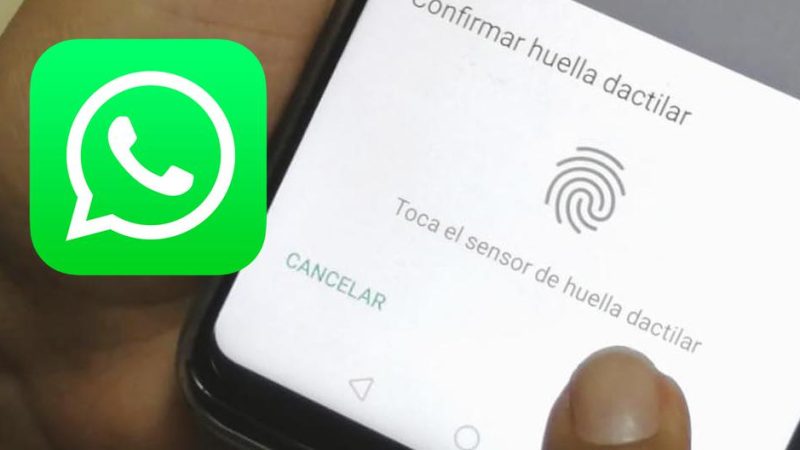 WhatsApp |  So you can configure your account to be opened with fingerprint and facial recognition |  Applications |  Smartphone |  Technology |  Nnda |  nnni |  Game-game