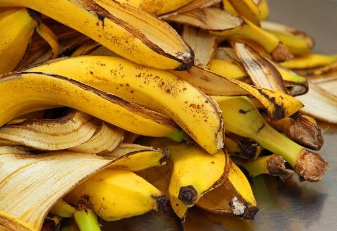 Switzerland – Scientists manage to extract hydrogen from banana peel, which is considered the perfect fuel.