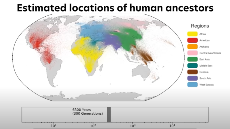 The largest family tree in history reveals how individuals around the world are related